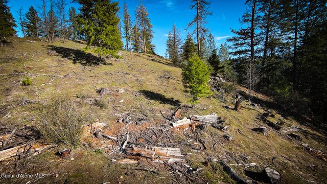 NNA Lot 3 Kacy Bear LN, Priest River, ID 83856