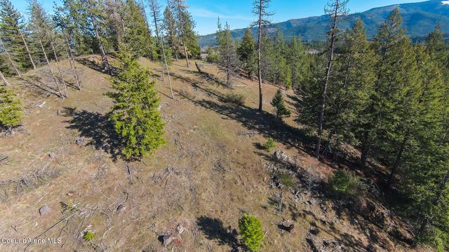 NNA Lot 3 Kacy Bear LN, Priest River, ID 83856