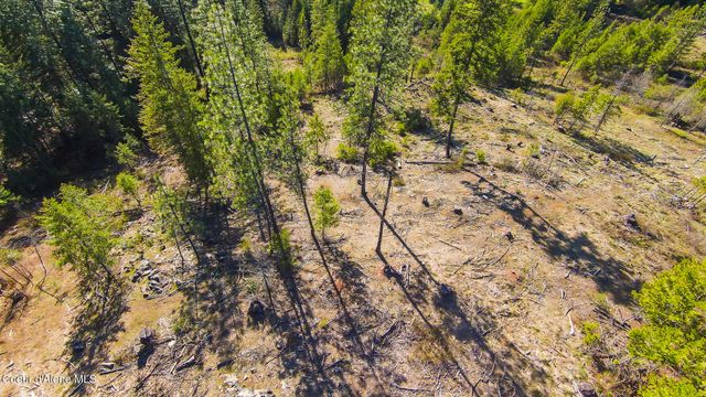 NNA Lot 3 Kacy Bear LN, Priest River, ID 83856