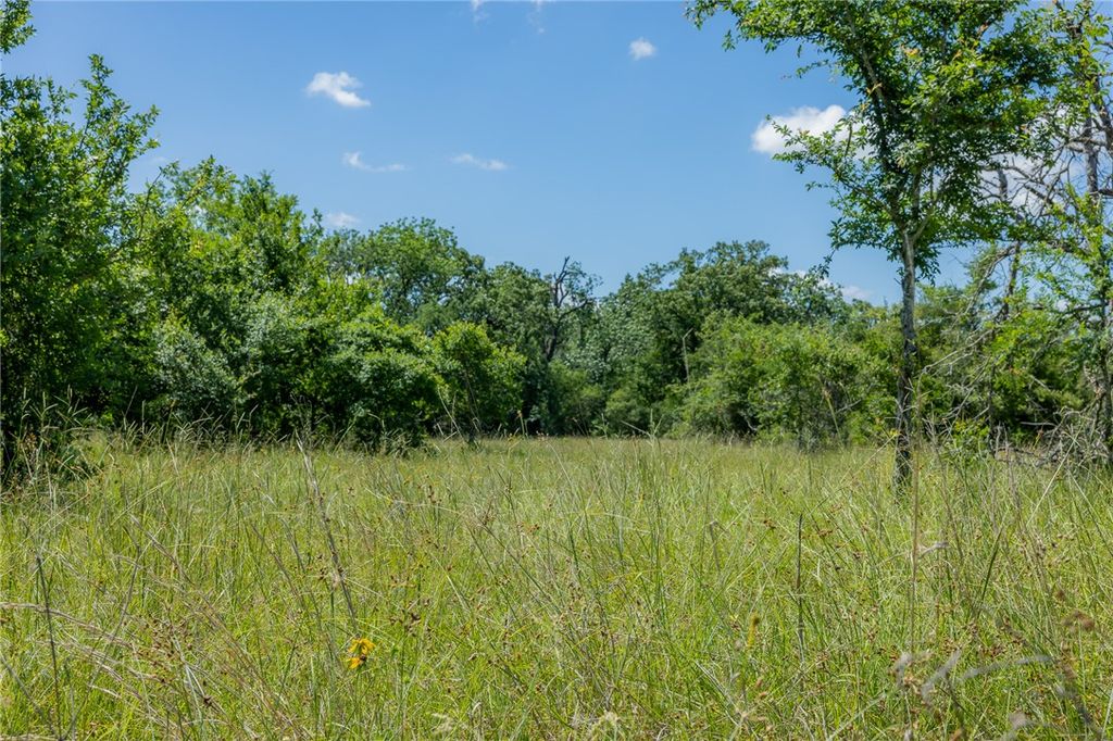 6584 Atakapan Trail, Bedias, TX 77831 — exterior