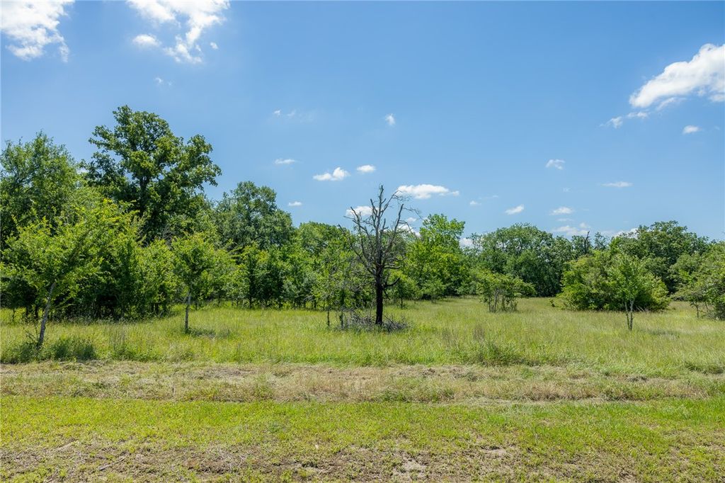 6584 Atakapan Trail, Bedias, TX 77831 — photo 2