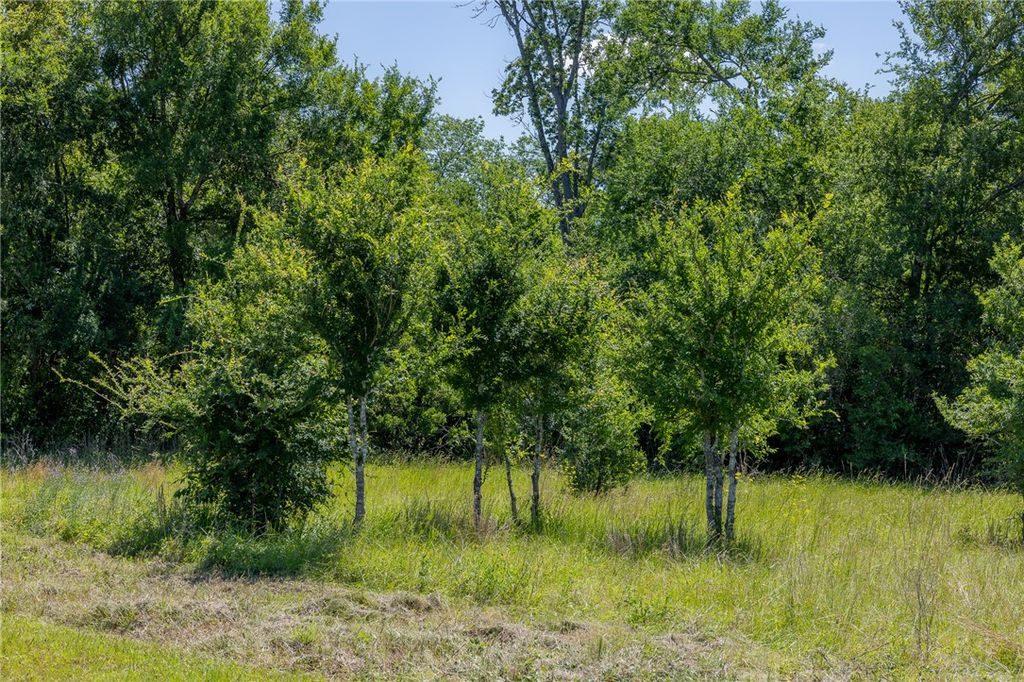 6584 Atakapan Trail, Bedias, TX 77831 — photo 3