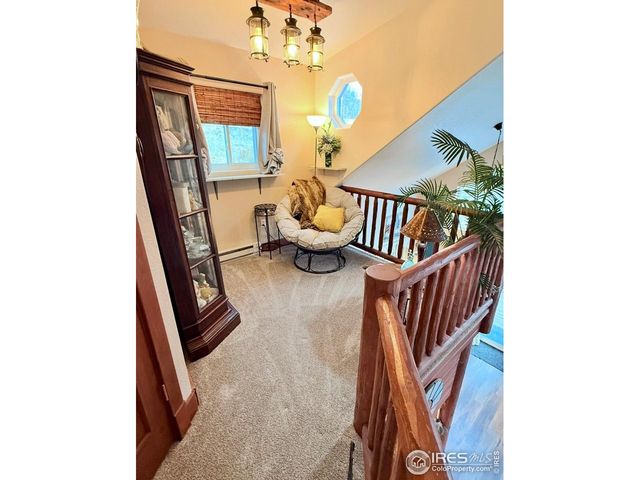 3689 Ottawa Way, Red Feather Lakes, CO 80545