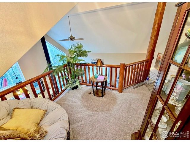 3689 Ottawa Way, Red Feather Lakes, CO 80545