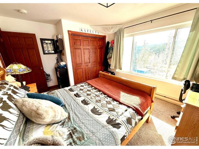 3689 Ottawa Way, Red Feather Lakes, CO 80545