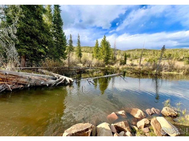 3689 Ottawa Way, Red Feather Lakes, CO 80545