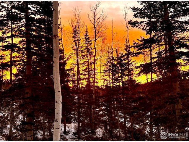 3689 Ottawa Way, Red Feather Lakes, CO 80545