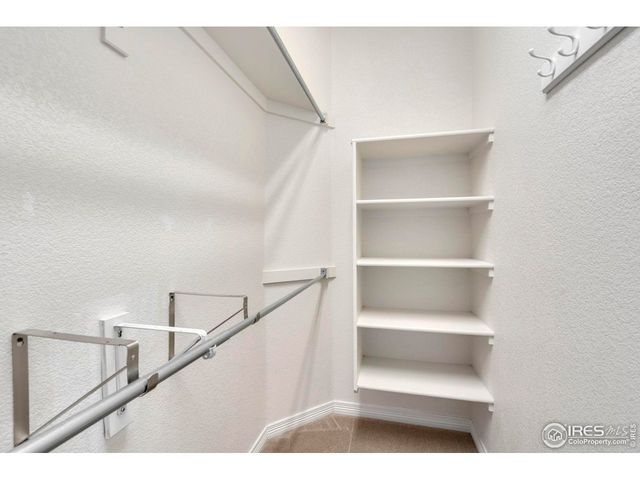 5328 Moonlight Bay Dr, Windsor, CO 80528