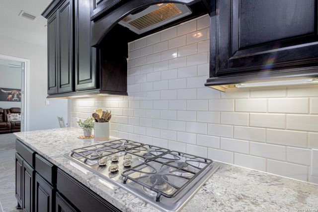 2620 MALBOONA MEWS DR, New Braunfels, TX 78132
