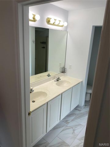 431 Peregrine Court, Winfield, MO 63389