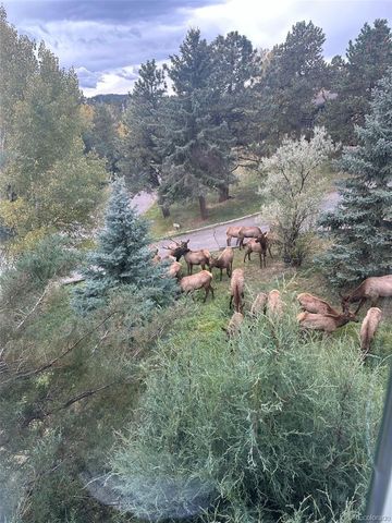 21946 Panorama Drive, Golden, CO 80401