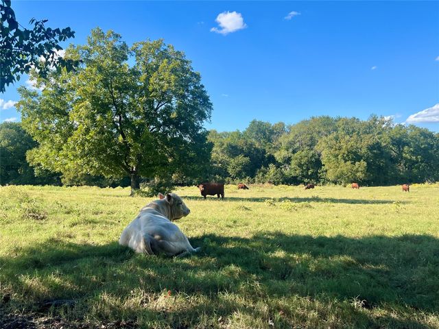 TBD 1368 acres Lowell Road, Milford, TX 76670