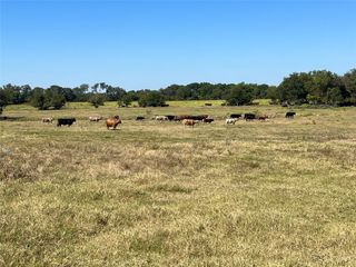TBD 1368 acres Lowell Road, Milford, TX 76670