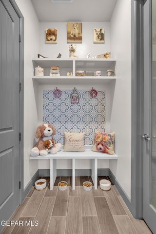 2317 TIERRA FABIAN Place, El Paso, TX 79938