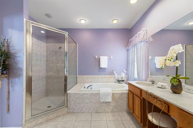 17823 ARBOR CREEK DRIVE, Tampa, FL 33647
