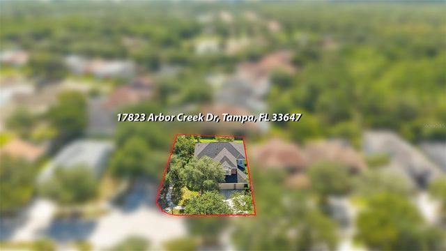 17823 ARBOR CREEK DRIVE, Tampa, FL 33647