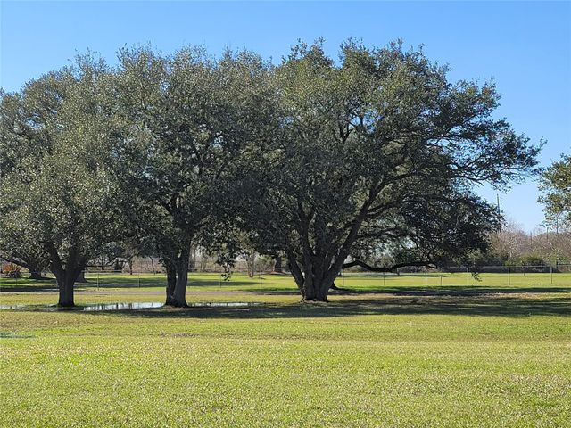 28302 Piney Corners, Waller, TX 77484