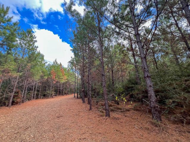 T-2 Fm 247, Huntsville, TX 77340