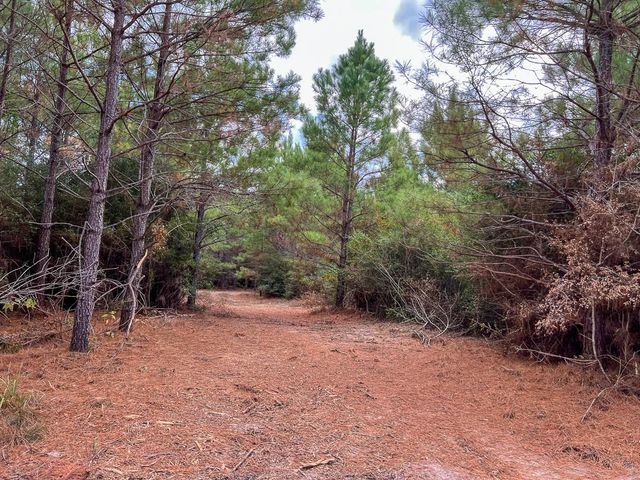 T-2 Fm 247, Huntsville, TX 77340