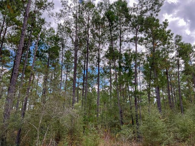 T-2 Fm 247, Huntsville, TX 77340