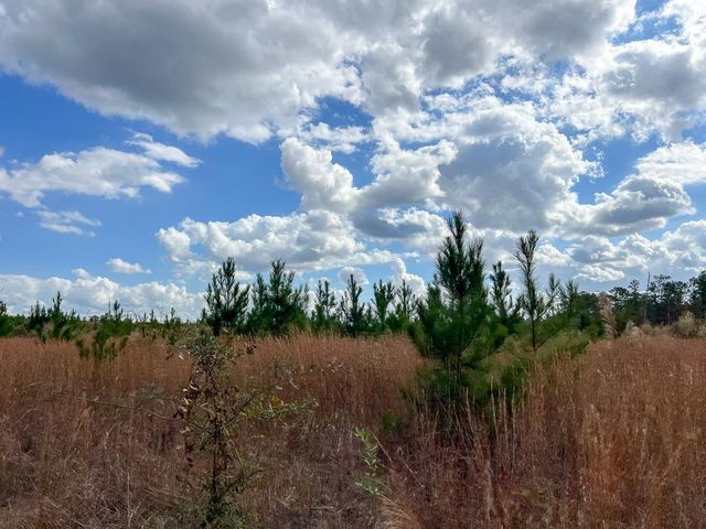 T-2 Fm 247, Huntsville, TX 77340