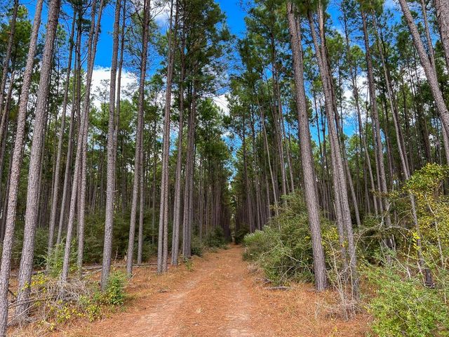 T-2 Fm 247, Huntsville, TX 77340