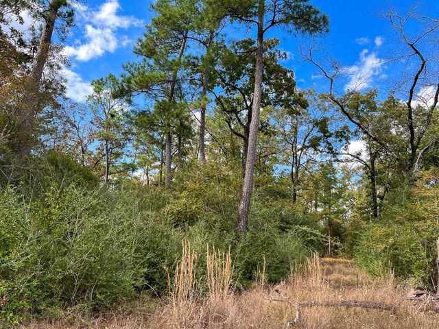 T-2 Fm 247, Huntsville, TX 77340