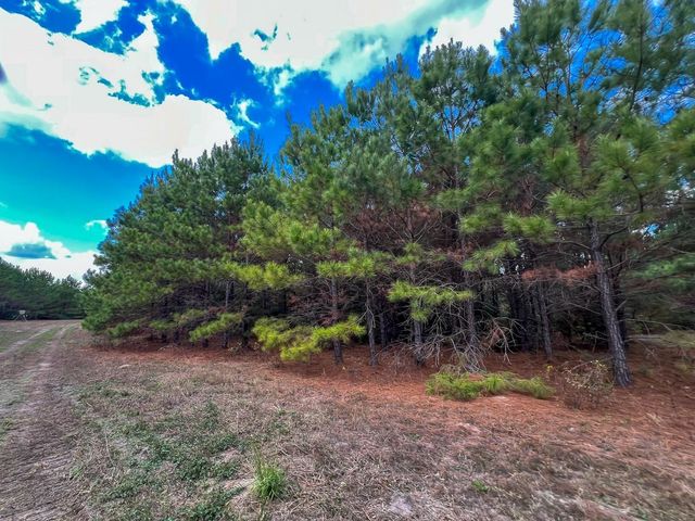 T-2 Fm 247, Huntsville, TX 77340