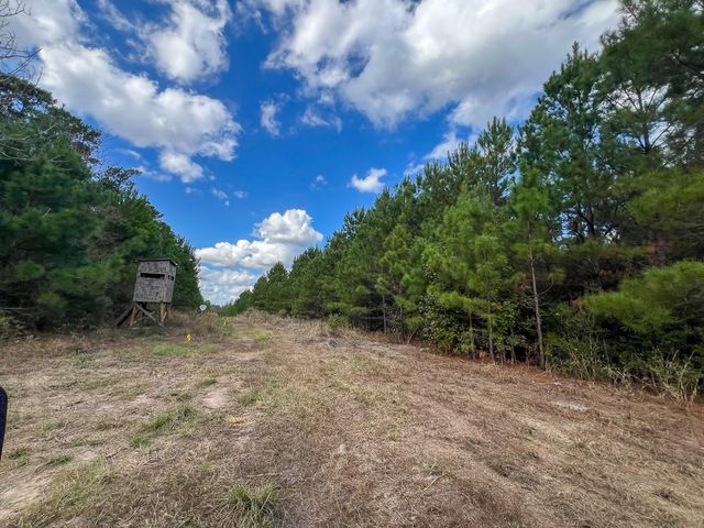 T-2 Fm 247, Huntsville, TX 77340