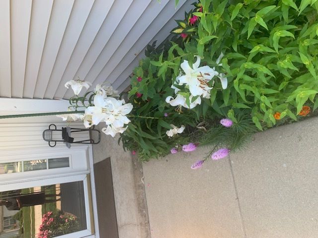 12830 CRESTVIEW Drive, Huntley, IL 60142