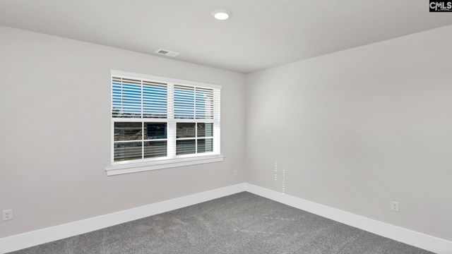 282 Livingston Woods Drive, Irmo, SC 29063