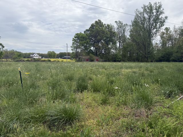 1459 Pete Sain Rd, Manchester, TN 37355