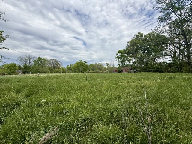 1459 Pete Sain Rd, Manchester, TN 37355