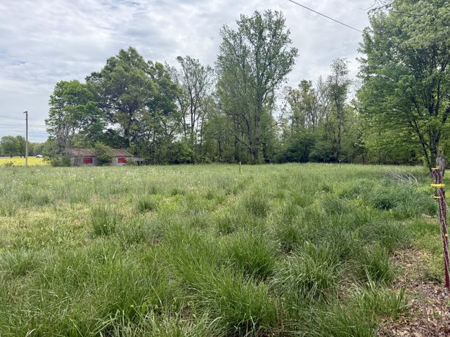 1459 Pete Sain Rd, Manchester, TN 37355