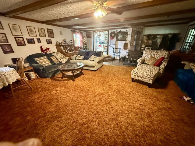 1459 Pete Sain Rd, Manchester, TN 37355