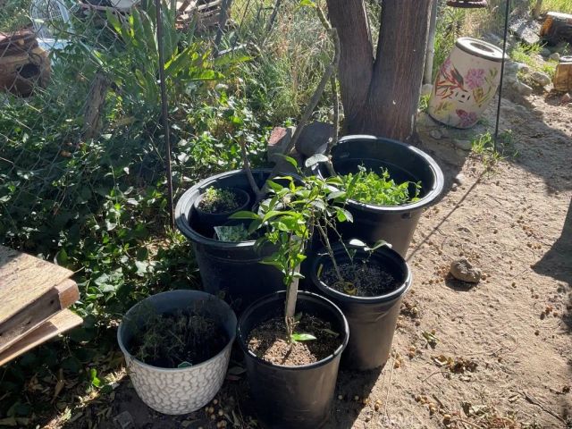 51820 Date Avenue, Cabazon, CA 92230