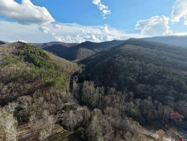 4868 Swallows Creek Road, Hiawassee, GA 30546