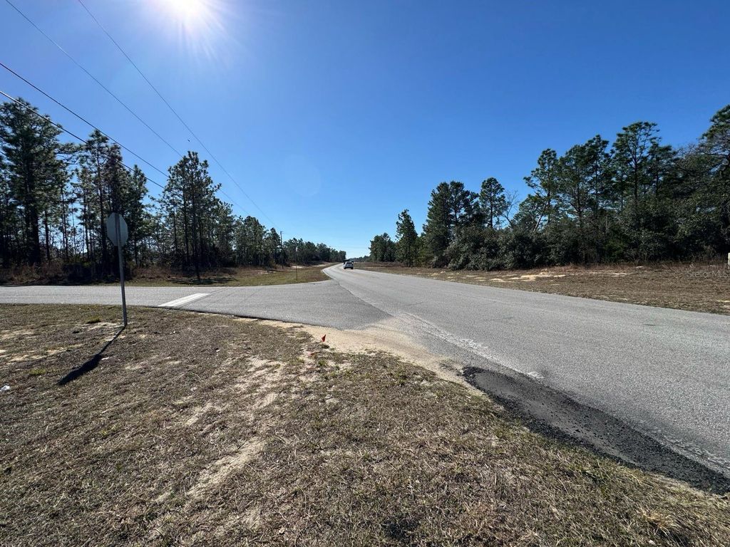 2595 W CHAMBERLAIN STREET, Citrus Springs, FL 34434