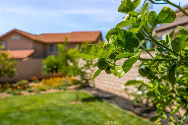 282 Port Royal, Riverside, CA 92506