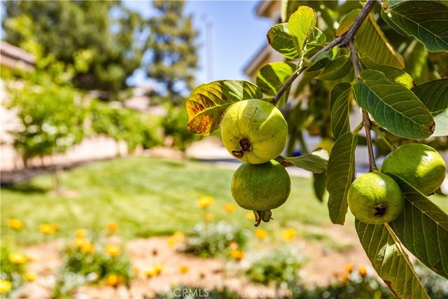 282 Port Royal, Riverside, CA 92506
