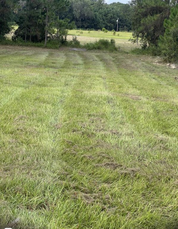 226 HUNTING SHORTCUT ROAD, Crescent City, FL 32112