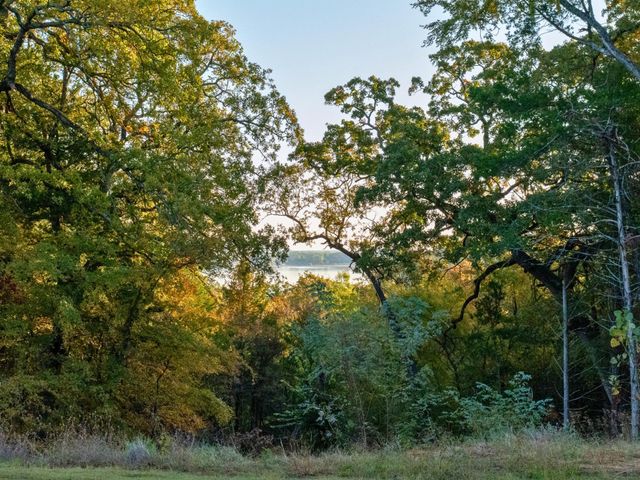 160 Lakeview Court 4, Gordonville, TX 76245