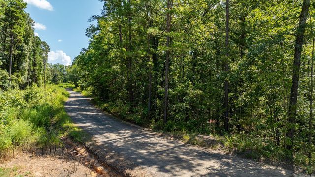 251 Sally Ann Dr., Shirley, AR 72153