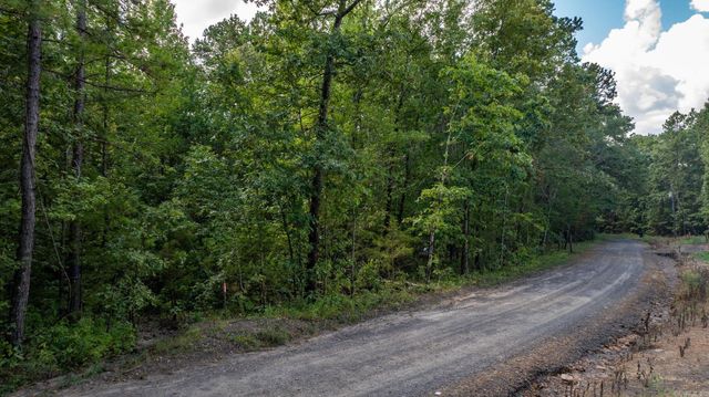 251 Sally Ann Dr., Shirley, AR 72153