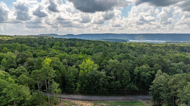 251 Sally Ann Dr., Shirley, AR 72153