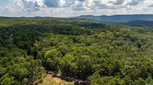 251 Sally Ann Dr., Shirley, AR 72153
