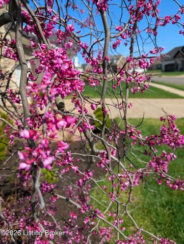 5709 Ruby Falls Dr, Prospect, KY 40059