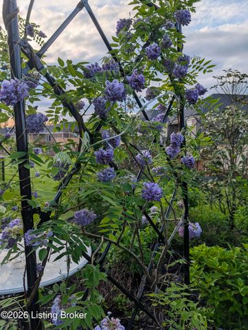 5709 Ruby Falls Dr, Prospect, KY 40059