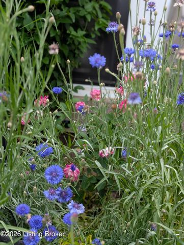 5709 Ruby Falls Dr, Prospect, KY 40059