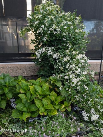 5709 Ruby Falls Dr, Prospect, KY 40059